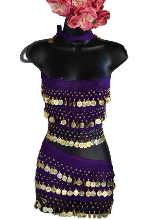 Purple Goddess Belly Dance top + hip scarf